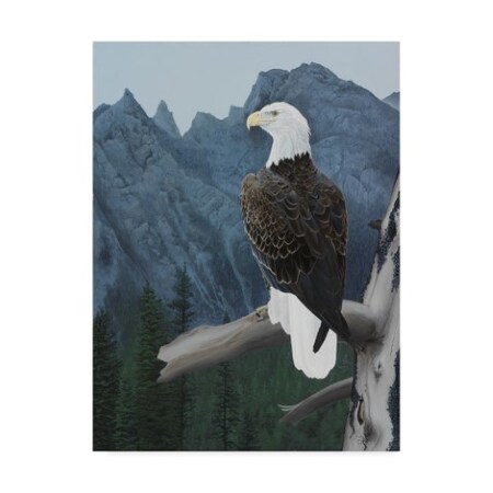 Rusty Frentner 'Perched Eagle' Canvas Art,14x19